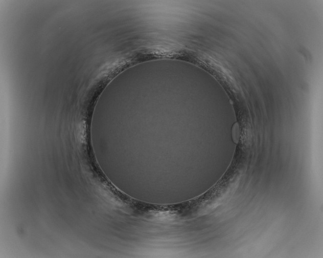 X0000111360689200907171204