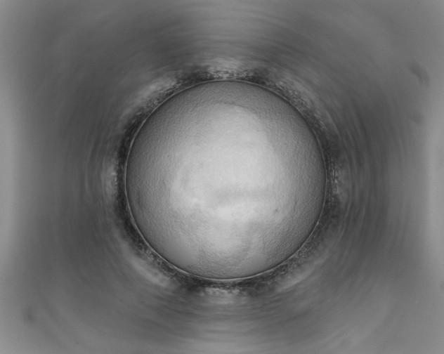 X0000111360690200907171204
