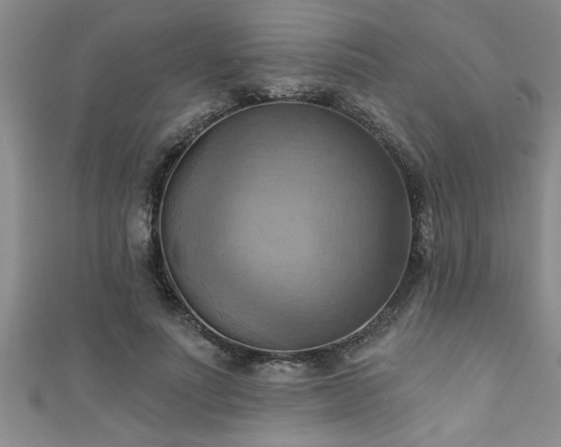 X0000111360691200907171204
