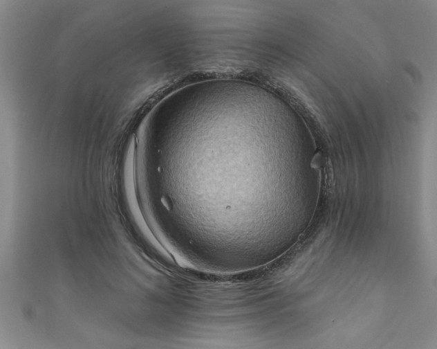 X0000111360692200907171204