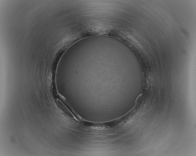 X0000111360693200907171204