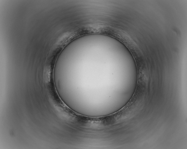 X0000111360694200907171204