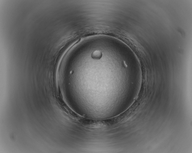 X0000111360696200907171204