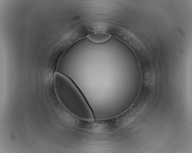 X0000111360697200907171204