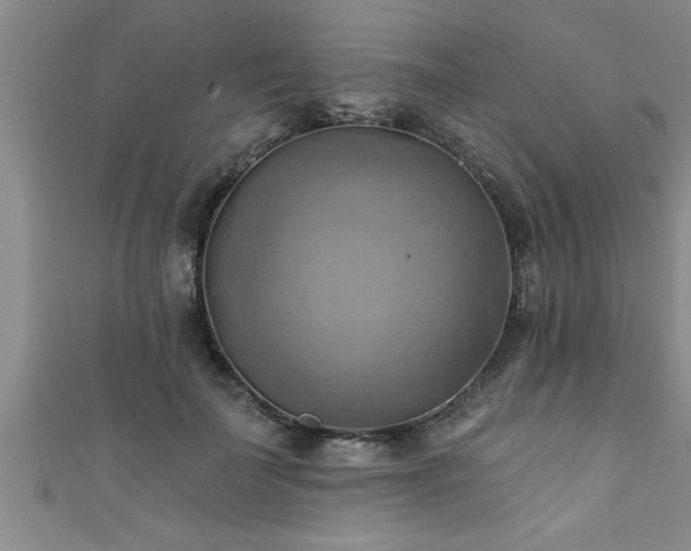 X0000111360699200907171204