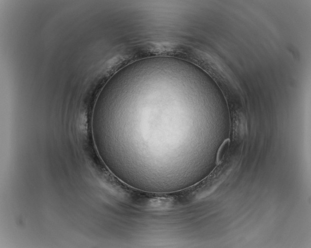 X0000111360700200907171204
