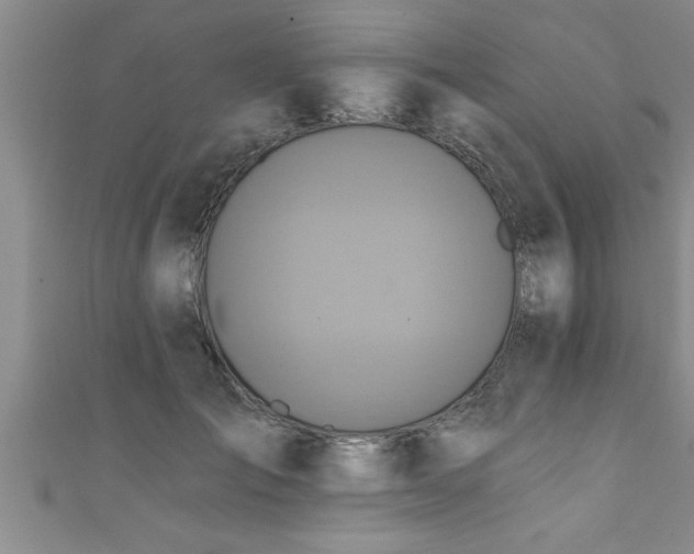 X0000111360701200907171204
