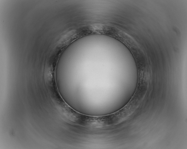 X0000111360702200907171204