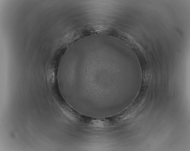 X0000111360703200907171204