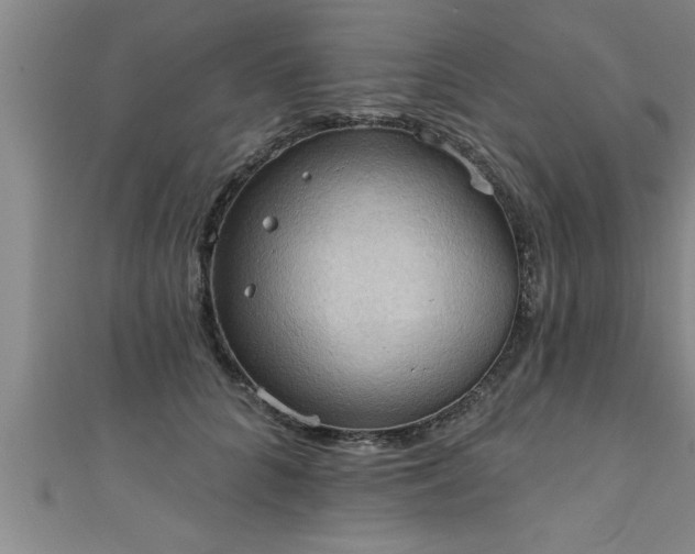 X0000111360704200907171204
