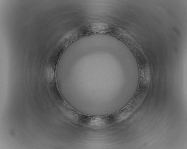 X0000111360705200907171204