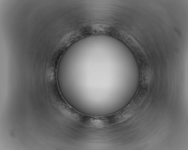 X0000111360706200907171204