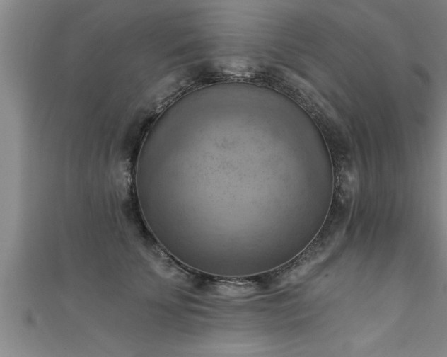 X0000111360707200907171204