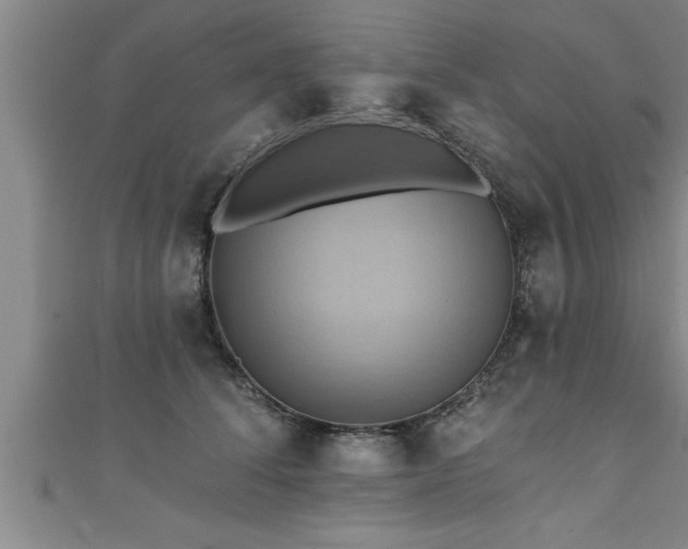 X0000111360708200907171204