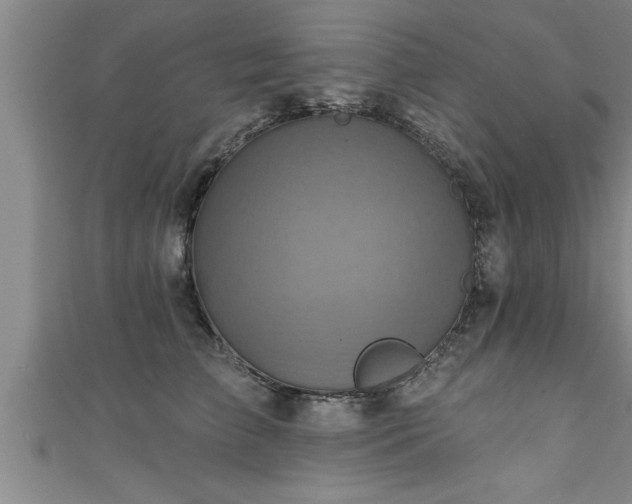 X0000111360709200907171204