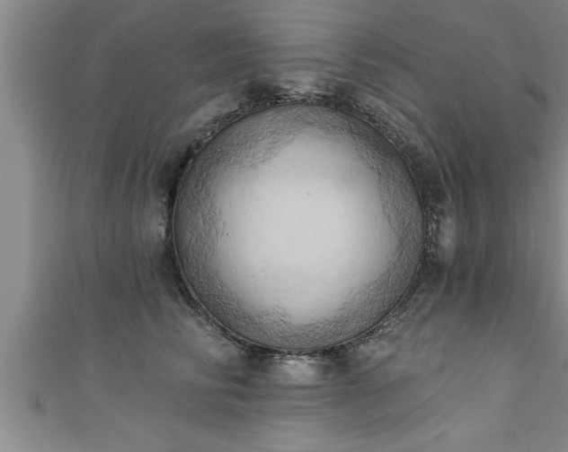 X0000111360710200907171204