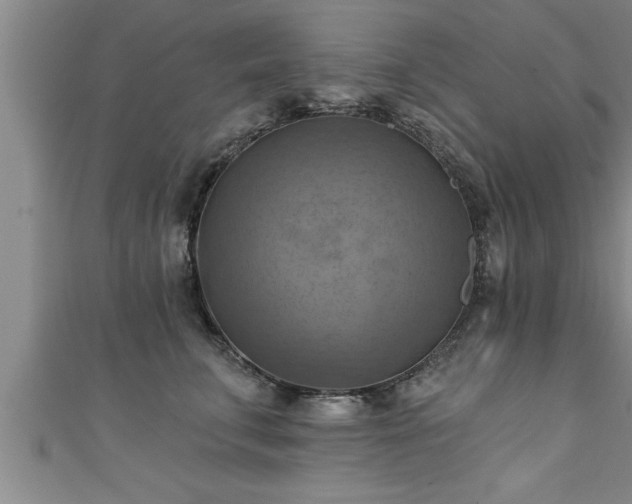 X0000111360711200907171204