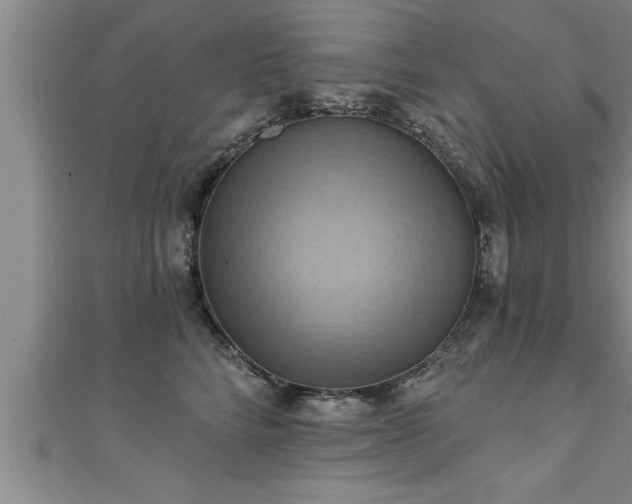 X0000111360712200907171204