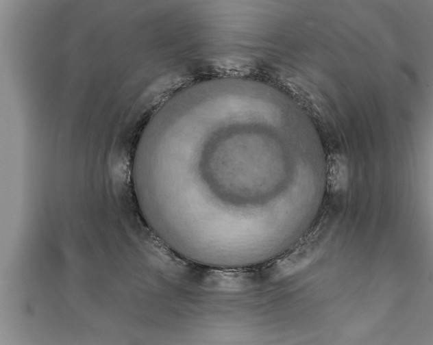 X0000111360713200907171204