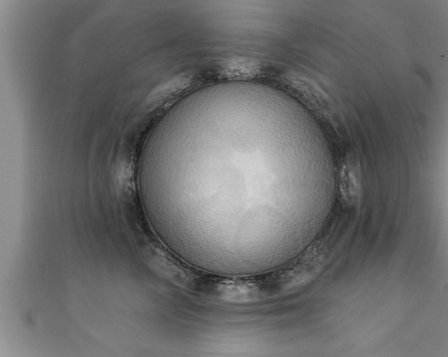 X0000111360714200907171204