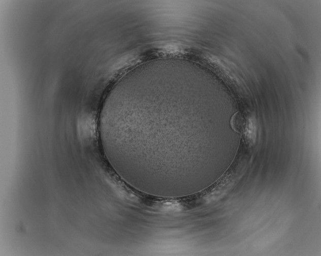 X0000111360715200907171204