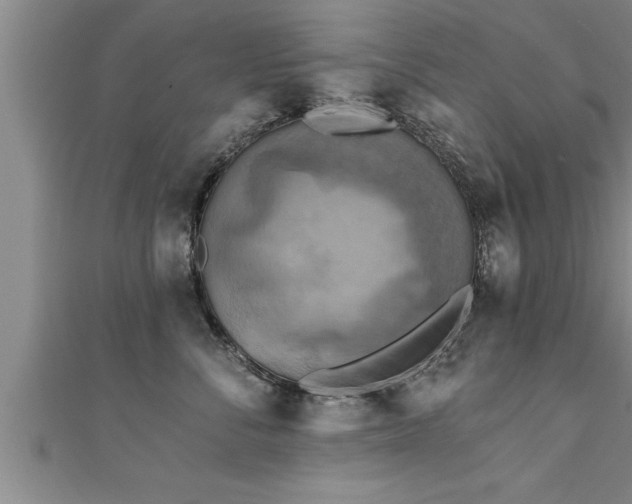 X0000111360716200907171204