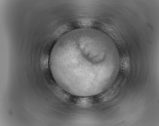 X0000111360717200907171204