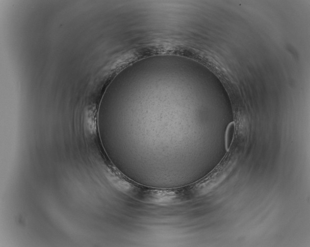 X0000111360719200907171204