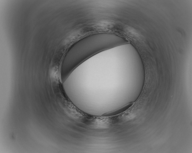 X0000111360720200907171204