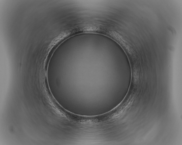 X0000111360721200907171203