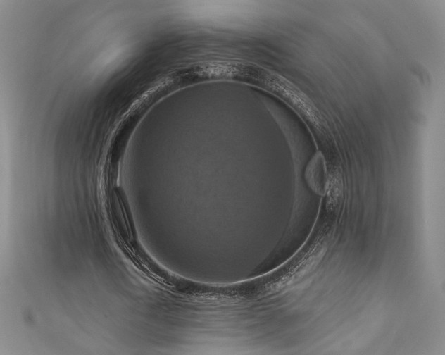 X0000111360722200907171203