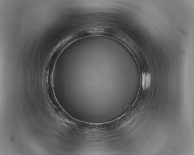 X0000111360723200907171203