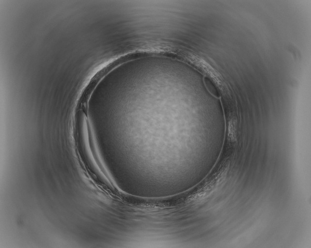 X0000111360724200907171203