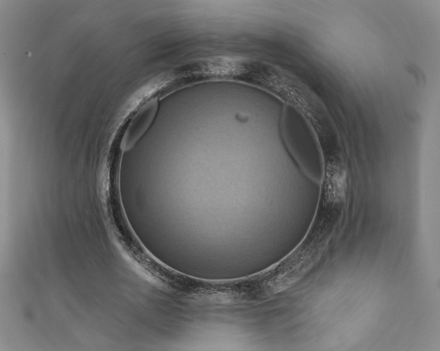 X0000111360726200907171203