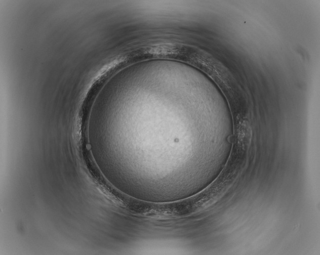 X0000111360727200907171203