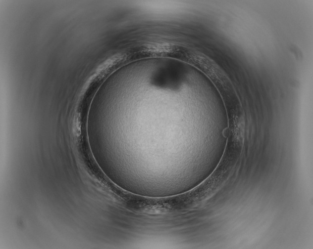 X0000111360731200907171203