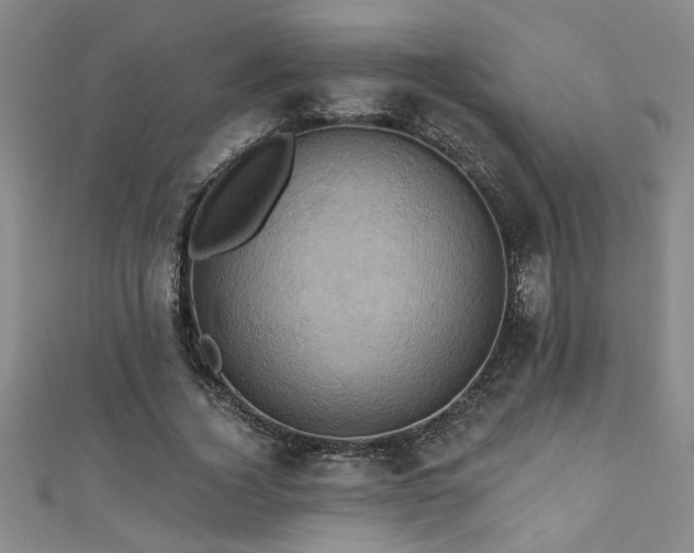 X0000111360732200907171203