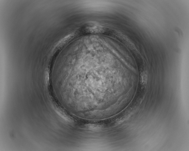 X0000111360733200907171203