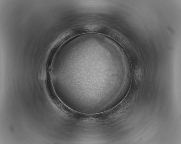 X0000111360734200907171203