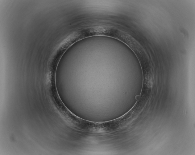 X0000111360735200907171203
