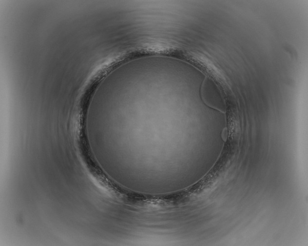 X0000111360736200907171203