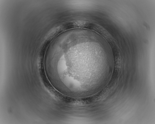 X0000111360738200907171203
