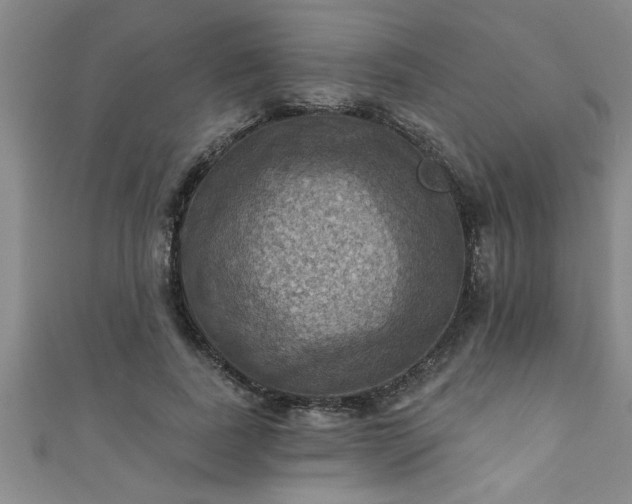 X0000111360739200907171203