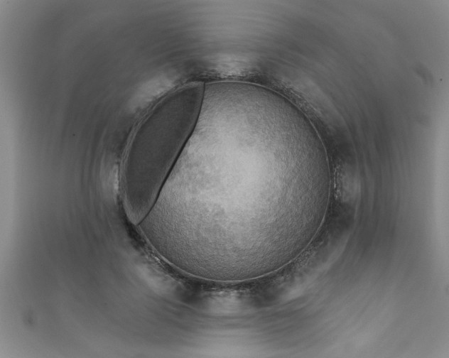 X0000111360740200907171203