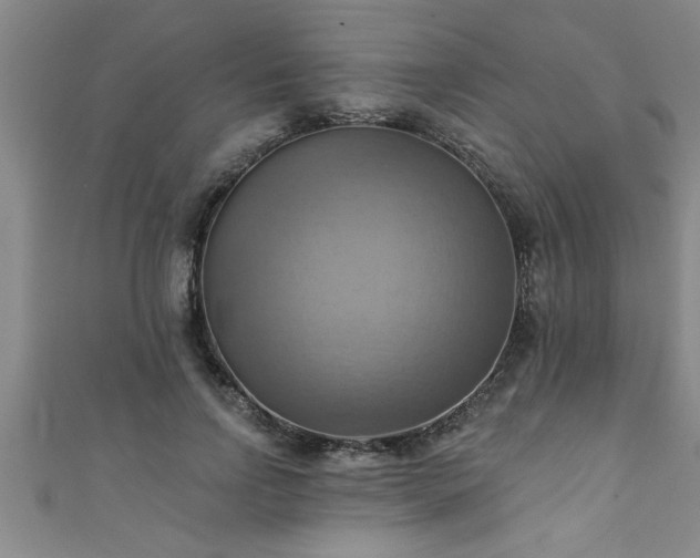 X0000111360742200907171203