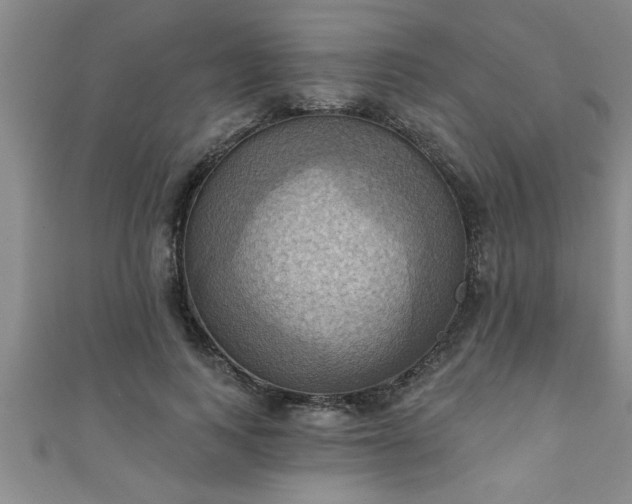 X0000111360743200907171203