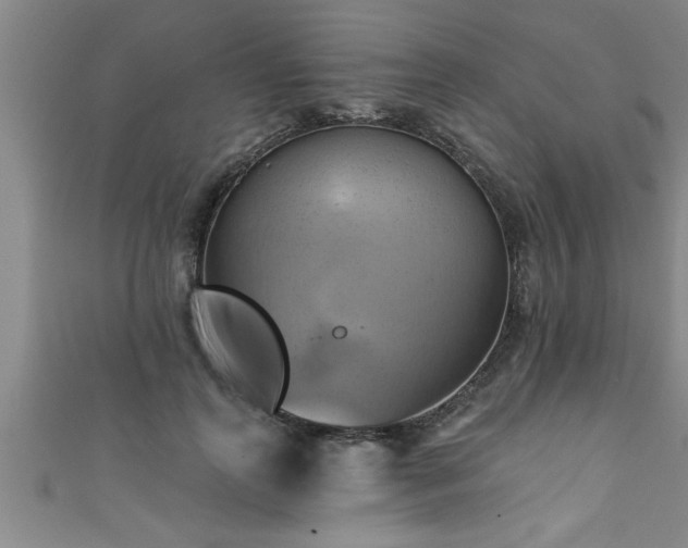 X0000111360747200907171203