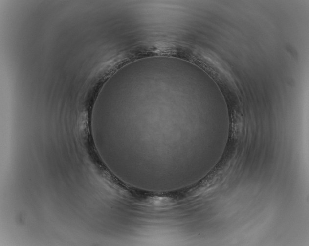 X0000111360748200907171203