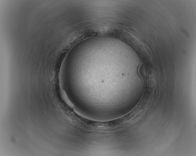 X0000111360750200907171203