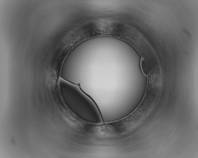 X0000111360752200907171203